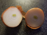 20220129_173457.jpg