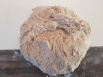 20220308_164553.jpg