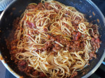 spaghetti-bolognese-192423.jpg