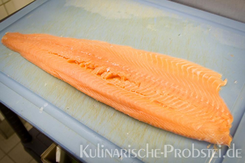 ostseelachs-in-sauer-1-04