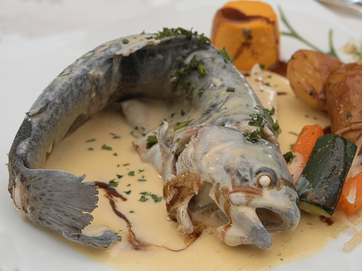 images/rezepte/forelle_blau.jpg