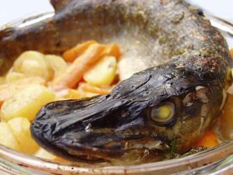 images/rezepte/hecht.jpg
