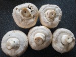 gefuellte-champignons-163732.jpg