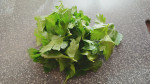 gremolata--02.jpg