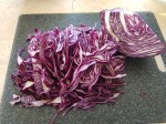 rotkohl-03.jpg