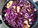 rotkohl-09.jpg