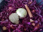 rotkohl-10.jpg